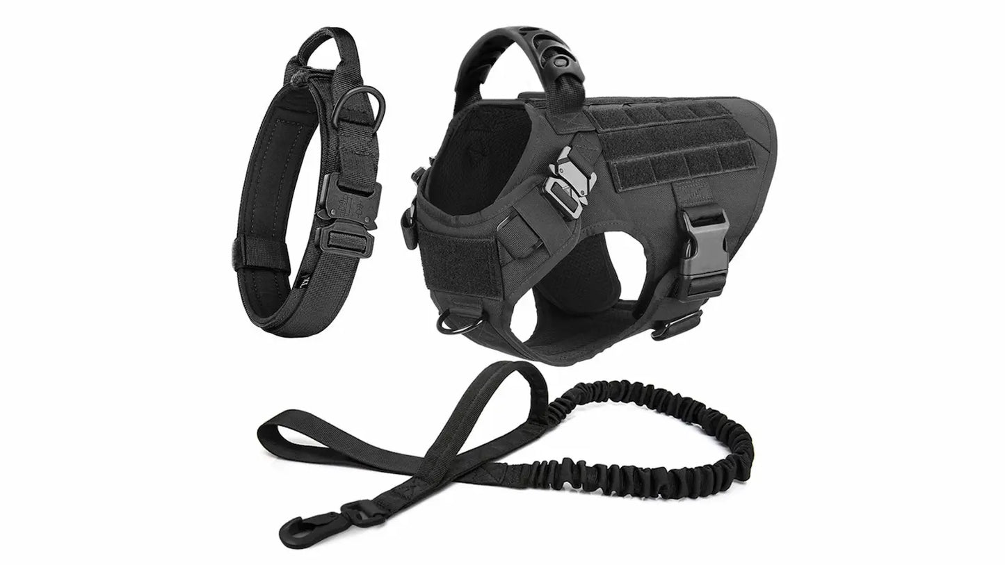 The Walk System 3-piece tactical dog set in black — harness, padded collar and bungee leash