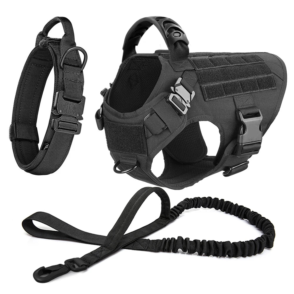 The Walk System 3‑piece set in black: harness, collar, and bungee leash shown on a white background
