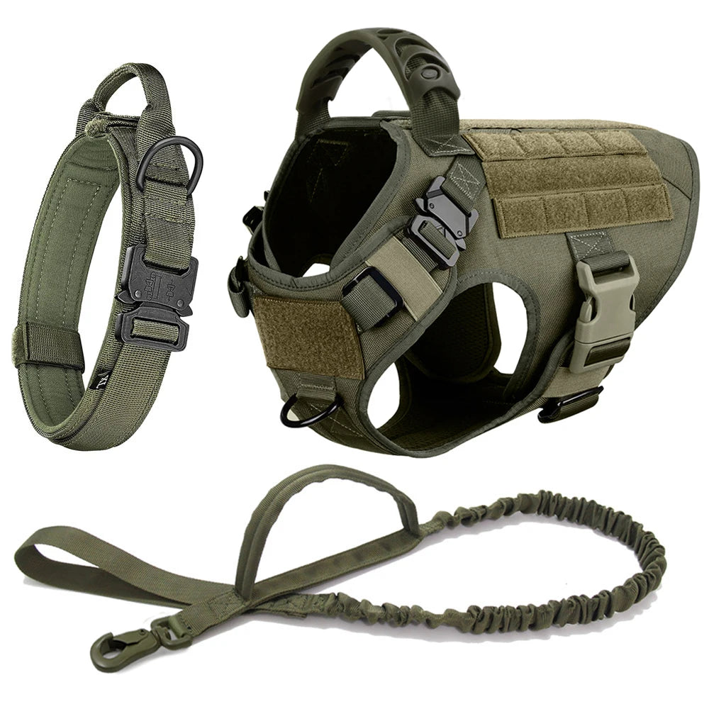The Walk System 3‑piece set in green: harness, collar, and bungee leash shown on a white background.