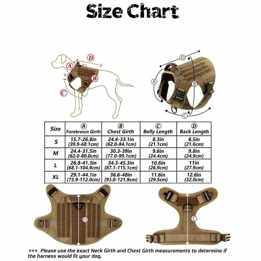 Where to measure your dog for the Walk System harness: forebreast, chest, belly and back